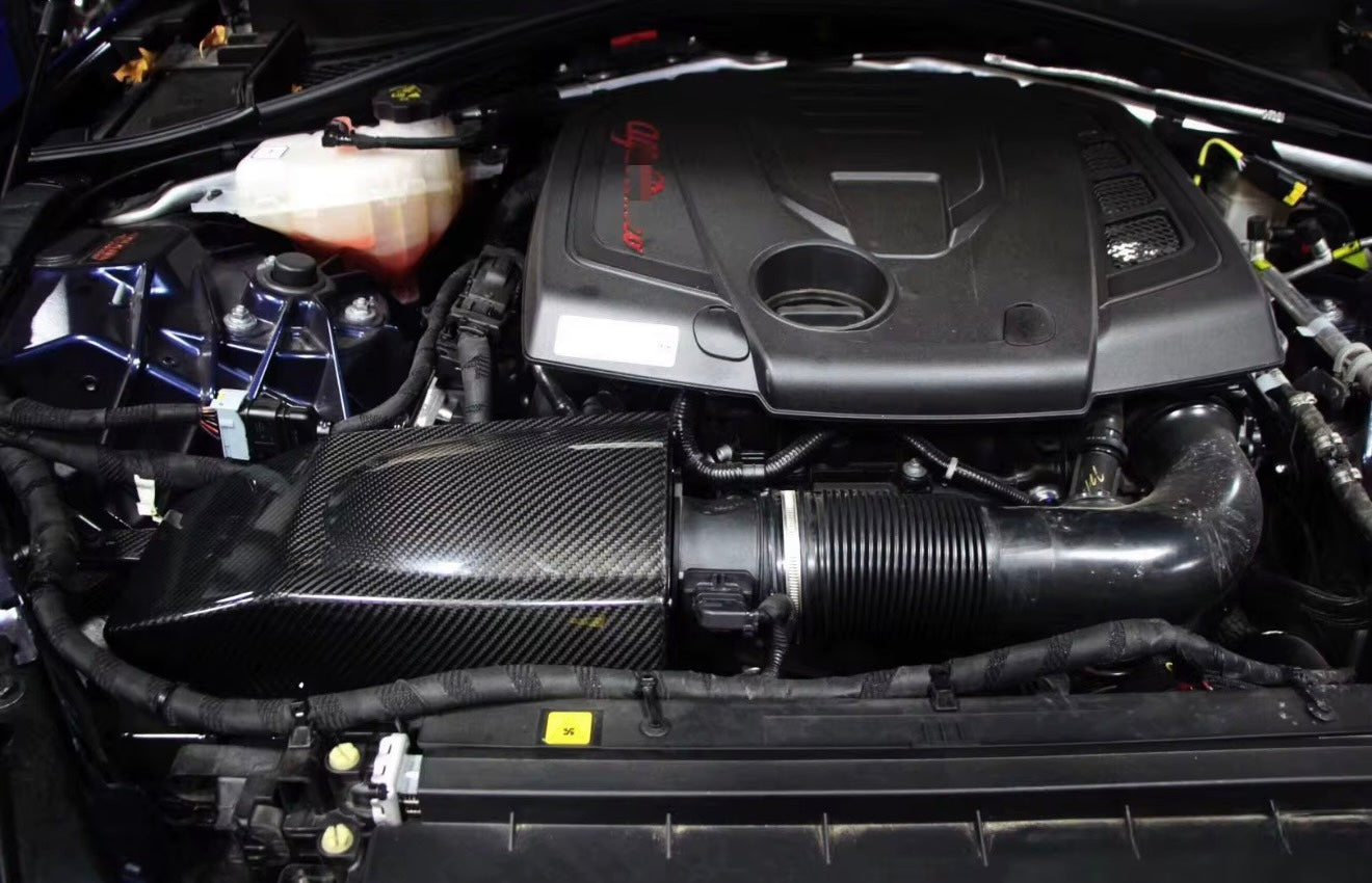 AGR CARBON INTAKE - 2.0 GULIA