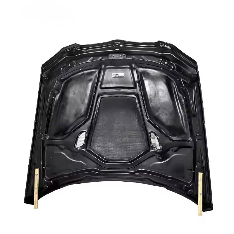 AGR CARBON HOOD - E92