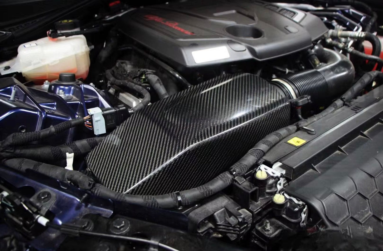 AGR CARBON INTAKE - 2.0 GULIA