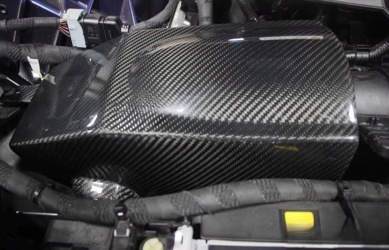 AGR CARBON INTAKE - 2.0 GULIA